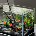 Algae Scraper for Glass Aquariums, Stainless Steel Fish Tank Cleaner Tool - Image 4