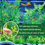 Fish Tank Plants, Fish Tank Accessories - Image 4