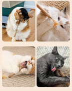 Tocirelo Kitten Chew Toys Teething - Image 6