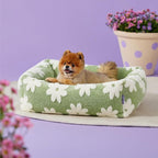 LE SURE Cute Dog Bed for Small Dogs - Image 6