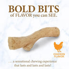 Nylabone Gourmet Style Stick Strong Chew Toy - Image 3