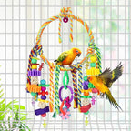 Bird Swing Toy with Perches - Image 2