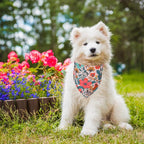 PTDECOR Flower Dog Bandana, Triangle Pet Bandanas - Image 2