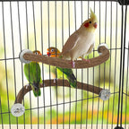 Rypet 2PCS Natural Wood Bird Perches - Image 6
