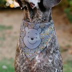 Disney Pet Bandana Winnie The Pooh Smiling Face Foliage Collage Multi Color - Image 4