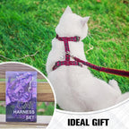 BEAUTYZOO Cat Harness and Leash Set Escape Proof - Image 6