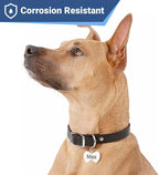 GoTags Stainless Steel Pet ID Tags, Personalized Dog Tags and Cat Tags - Image 4