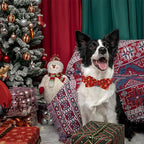 Christmas Dog Collar, Soft Pet Collar Gingerbread Man Cute Dog Collar - Image 6