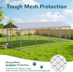 20'x10' Large Outdoor Dog Kennel Outside– Heavy-Duty Dog Enclosure - Image 4