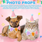Sanwuta 2 Pcs Cat Birthday Party Supplies, Knit Cat Hat Kitten Birthday Bib - Image 4
