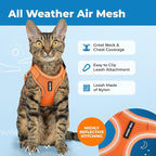 Voyager Escape-Proof Step-in Lock Cat Harness & 5ft Neoprene-Handle Leash Set - Image 3