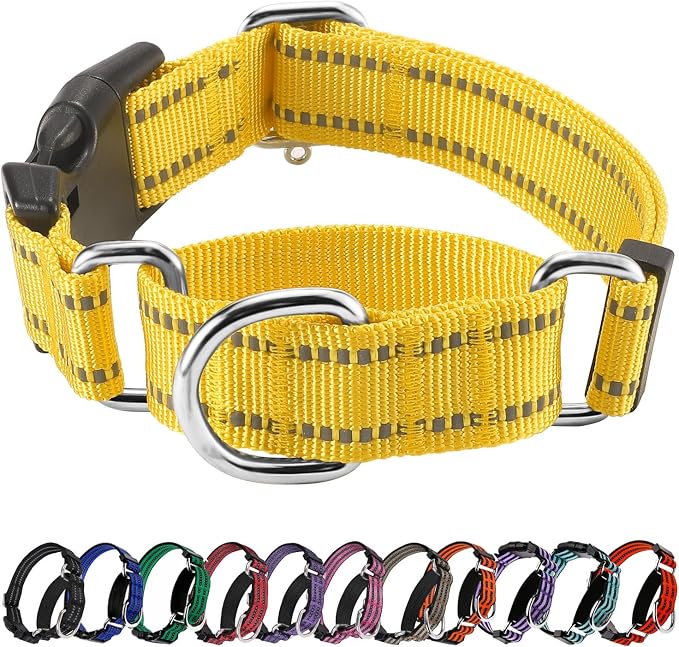 Hikiko Martingale Dog Collars Reflective Nylon Dog Collar by Hikiko