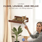 Cat Wall Hammock - Image 5
