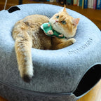 Cattasaurus Peekaboo Cat Cave Donut - Image 6
