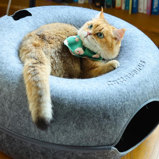 Cattasaurus Peekaboo Cat Cave Donut - Image 6