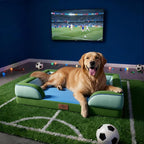 Comfort Expression Orthopedic Dog Bed - Image 6