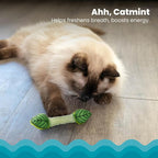 Catstages Fresh Breath Mint Stick Dental Cat Chew Toy - Image 3