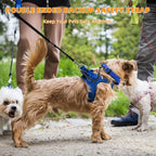 YUEPET 2 Pack Handmade Weaved Dog Collar Safety Clip Heavy Duty Double Ended - Image 7