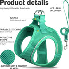 Fida Cat Harness and Leash Set for Walking Kitten and Puppy, Escape Proof - Image 2