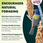 Living World – Millet Spray for Birds, 7 Oz – Premium Treat for Budgies - Image 8