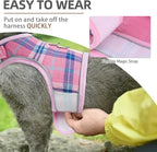 PUPTECK Soft Mesh Cat Vest Harness and Leash Set Puppy Padded Pet Harnesses - Image 5