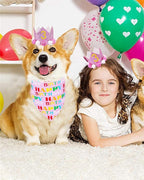 PET SHOW Pink Crown Hat Dog Birthday Party Supplies - Image 7
