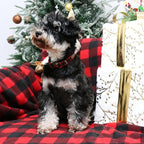 Unique style paws Christmas Dog Collar Metal Buckle Red Black Plaid Puppy - Image 3