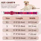 AirTag Dog Collar for Small Medium Large Breed - Image 4