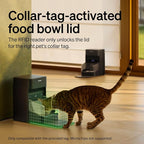 PETLIBRO RFID Automatic Cat Feeder, Collar Sensor - Image 3