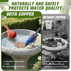 Bird Bath Copper Disk, Four-Point Support Design 99.99% Pure Copper Cleaning - Image 4