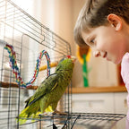 Bird Rope Perches for Parrots, Cockatiels, Budgie Cages Comfy Birds Colorful - Image 3