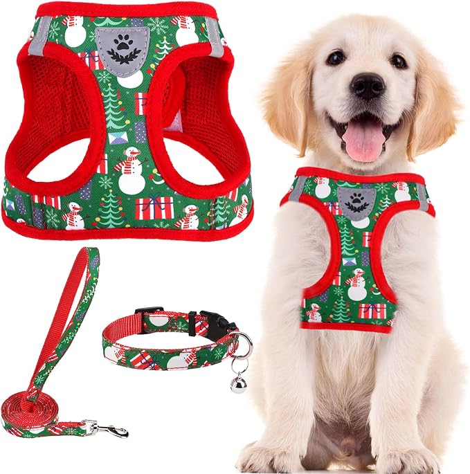 PUPTECK Adjustable Dog Harness Collar and Leash Set Step in No Pull Pet Harness by PUPTECK