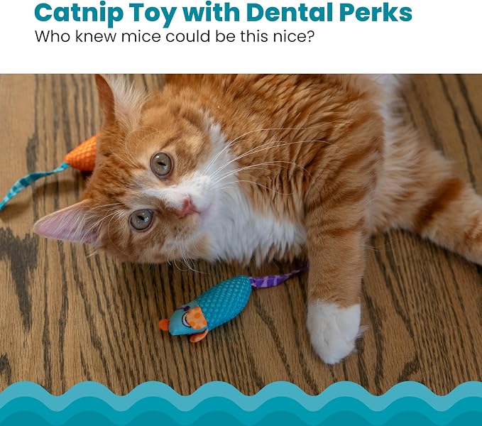 Catstages Catnip Chew Mice 2 Pack– Interactive Dental Cat Chew Toy that Helps - Image 2