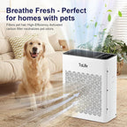 Tolife Air Purifier Large Room, Air Purifiers - Image 2