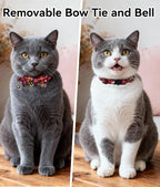 Joytale Upgraded Christmas Cat Collar - Image 2