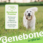 Benebone Ring Durable Dog Chew Toy - Image 6