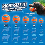 Chuckit! Dog Ball Launcher 12M Sport - Image 8