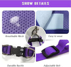 FEimaX Dog Harness and Leash Set, No-Pull Breathable Soft Mesh Puppy Vest - Image 3