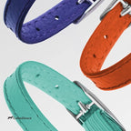 CollarDirect Leather Cat Collar, Kitten Collar - Image 8