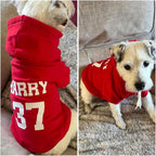 Personalized Name Dog Hoodie, Print Hoodies Pets Name, Custom Pet Memorial - Image 3