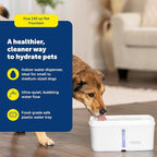 PetSafe Viva Pet Fountain - Image 2