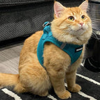 Best Pet Supplies Voyager Step-in Air Harness - Image 8