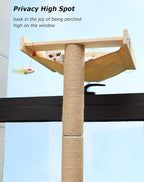 Cat Window Perch with Tall Scratching Posts, Inside 46" Climbing Tree Hammmock - Image 7