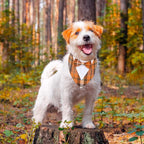 ADOGGYGO Fall Dog Tuxedo Bandana, Adjustable Halloween Thanksgiving Formal - Image 3