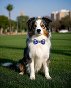 PET SHOW 5 Pack Pet Big Dogs Collar Embellishment Attachment Bow Ties - Image 6