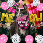 STMK Cat Birthday Party Supplies - Image 2