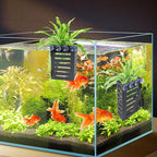 Aquarium Plant Holder 4 PCS Hanging Aquatic Plant Pot - Image 5