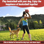QDAN Dog Ball Basketball Toys, Balls - Image 6