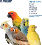 Prevue Pet Products Wholesome Naturals 4 Piece Bird Toy Bundle - Image 5