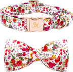 Elegant little tail Dog Collar by Elegantlittletail